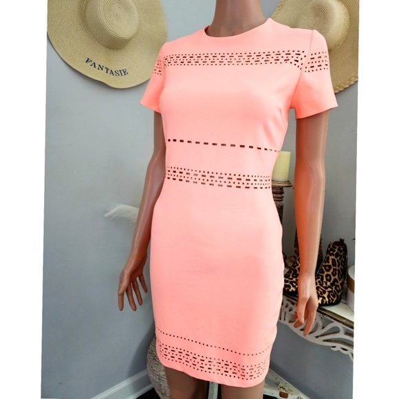 Size 8 Elizabeth & James Orange Sherbet See Through Laser Cut Bodycon Mini Dress - Picture 3 of 6